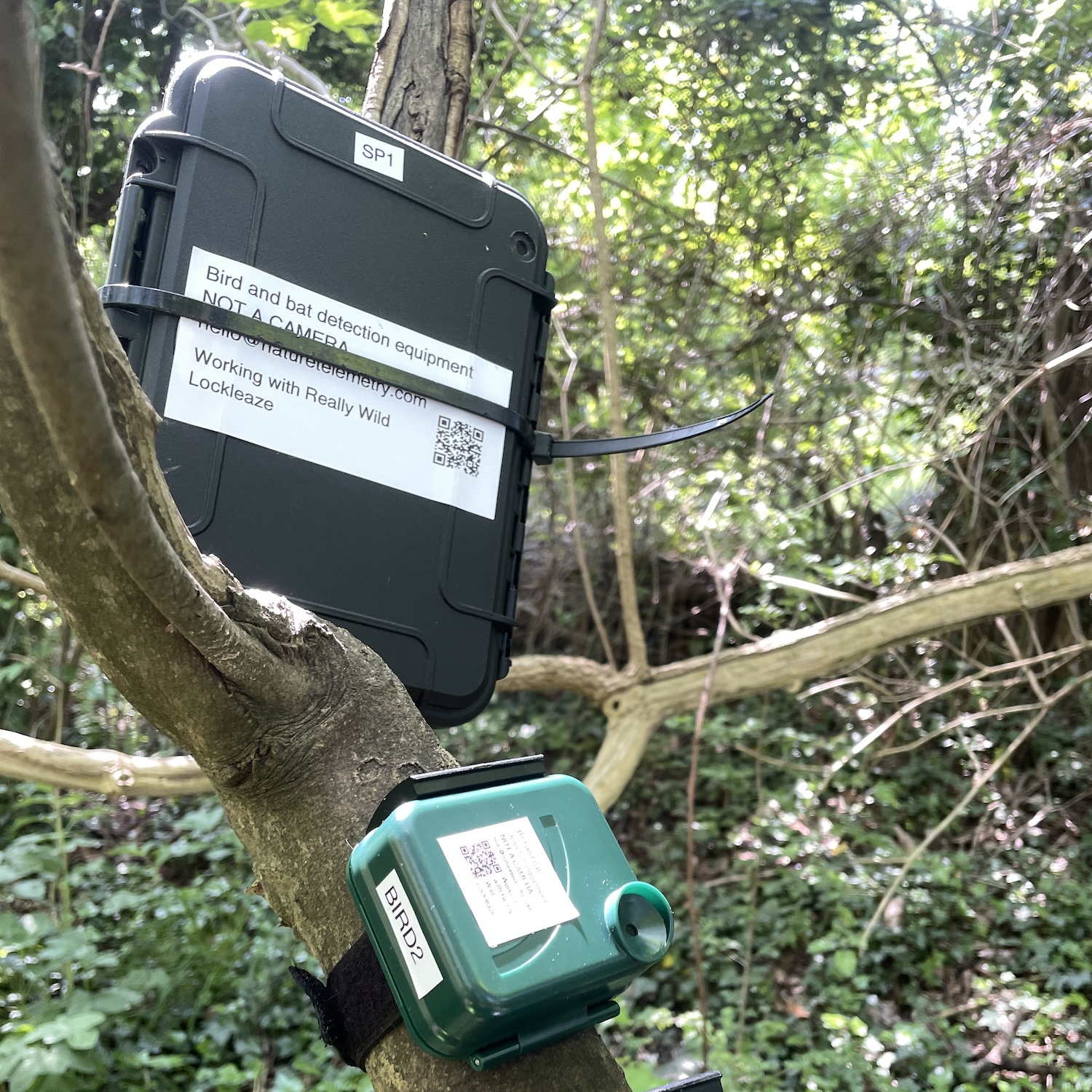 A black box with an antenna and a sign saying 'not a camera'