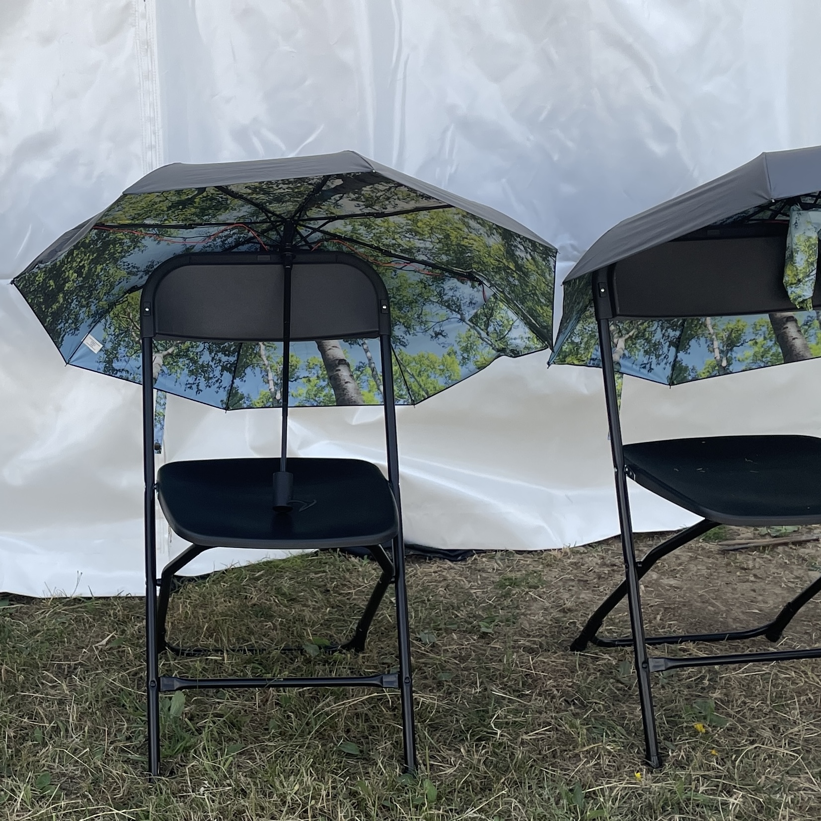 Two patterned umbrellas perched on chairs. They play birdsong / slowed down bat calls